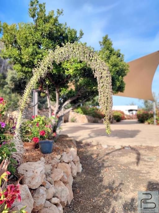 סאנט מיגל דה באלאנסט Casa Can Lluc Con Piscina, Jardin Y Vista Al Campo מראה חיצוני תמונה