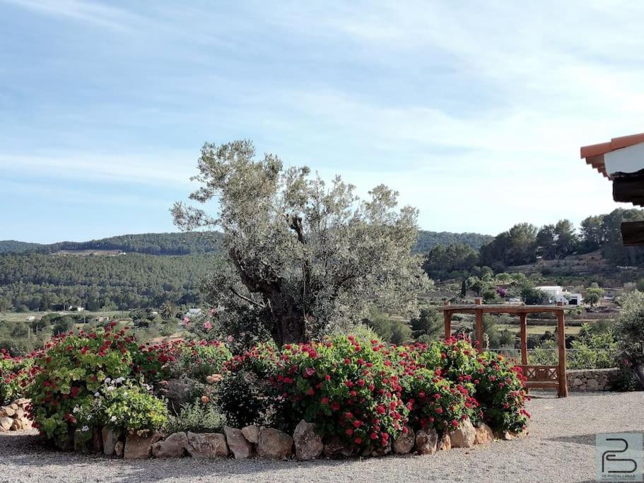 סאנט מיגל דה באלאנסט Casa Can Lluc Con Piscina, Jardin Y Vista Al Campo מראה חיצוני תמונה