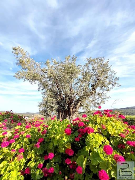 סאנט מיגל דה באלאנסט Casa Can Lluc Con Piscina, Jardin Y Vista Al Campo מראה חיצוני תמונה
